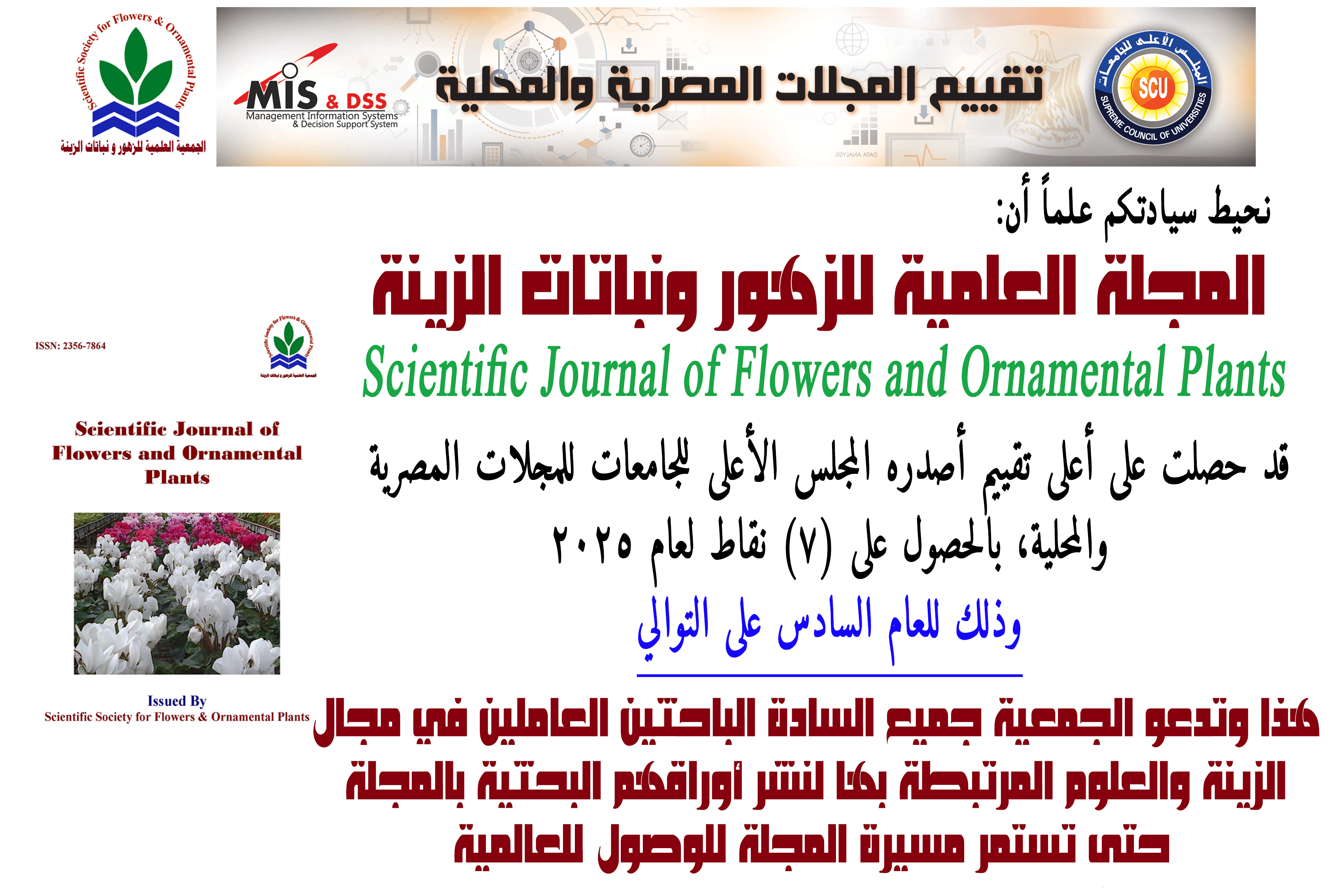 صورة الخبر